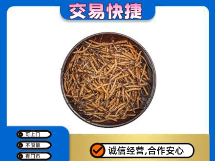 怀化高价回收散虫草